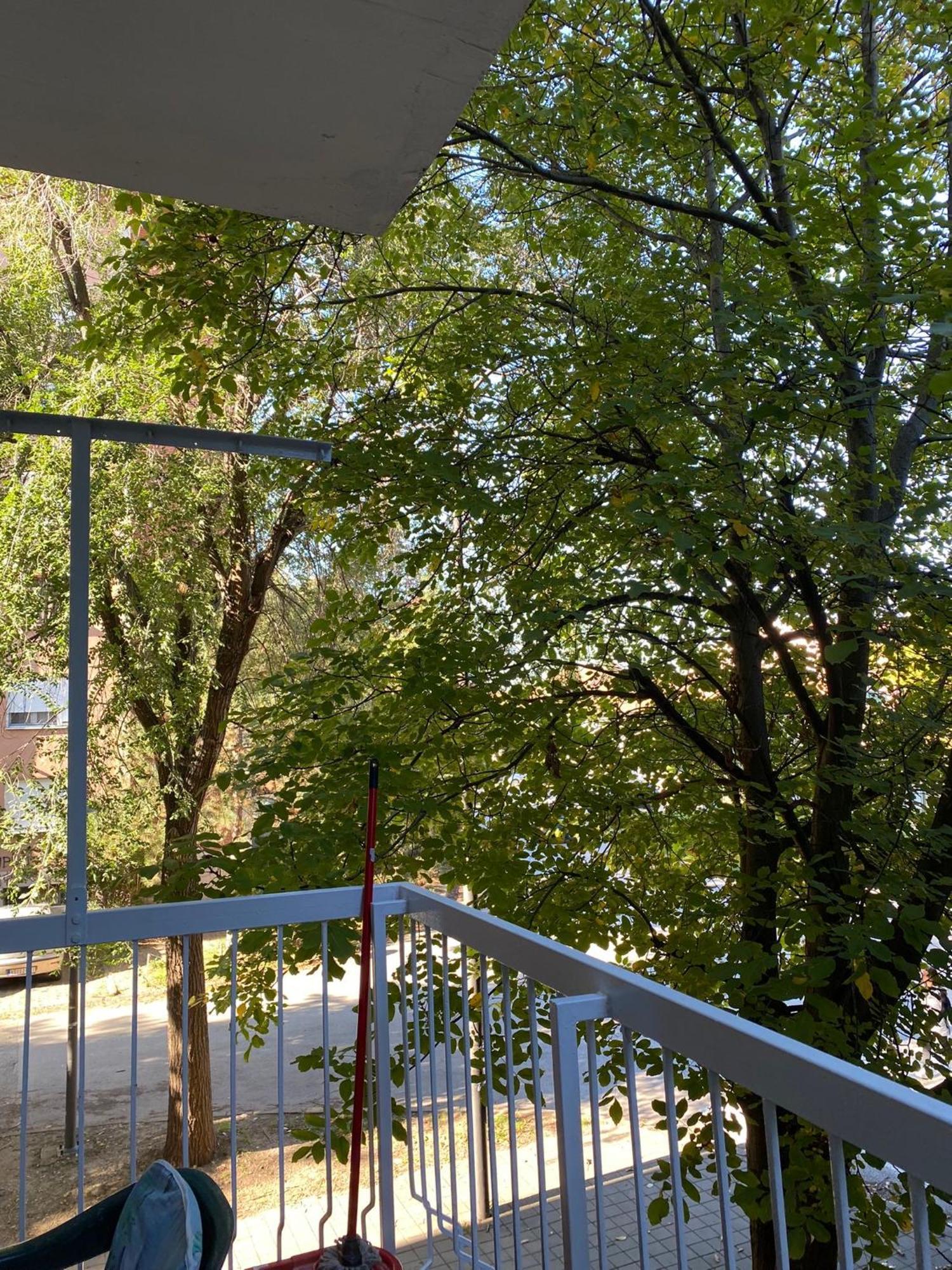 Vanja Apartman วรชาซ ภายนอก รูปภาพ